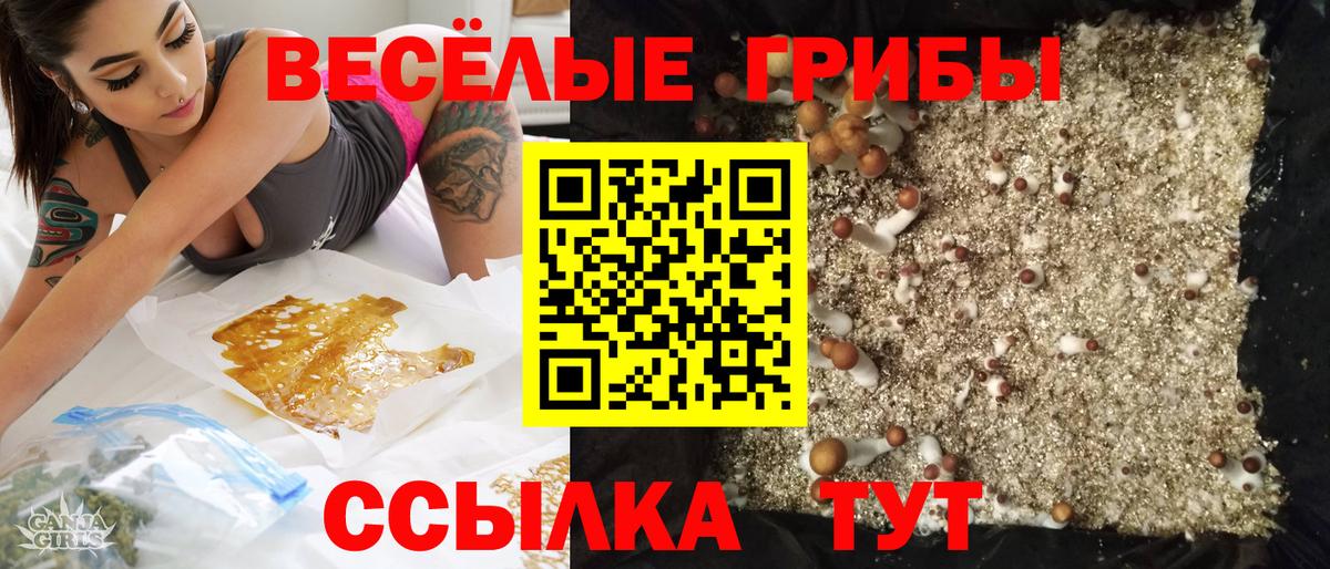 Псилоцибиновые грибы прущие грибы Губкин