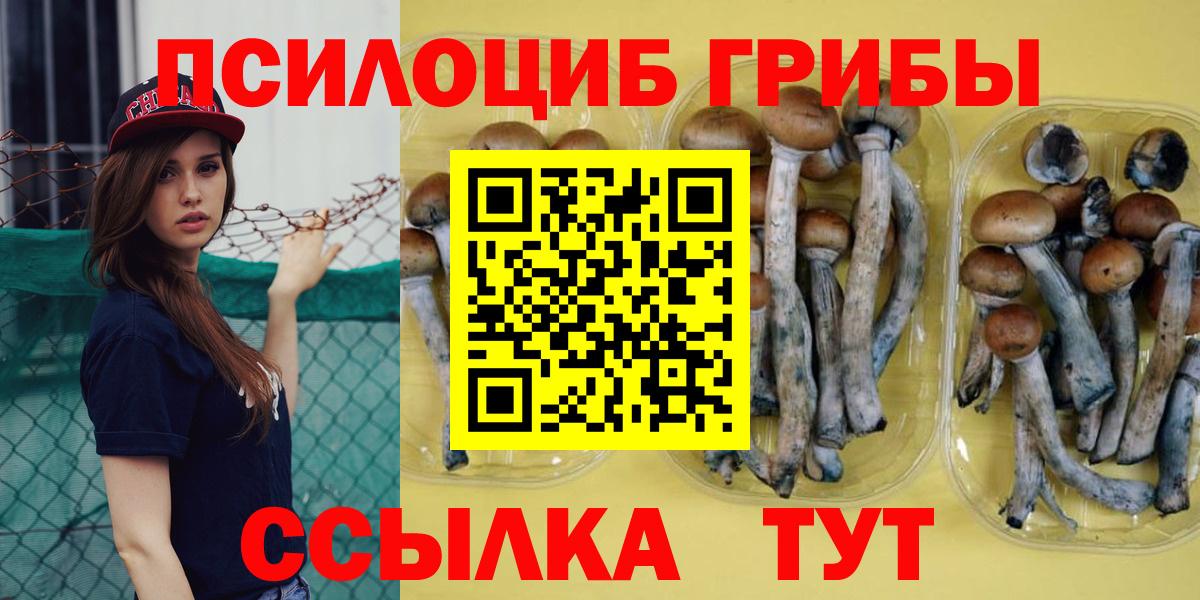 Губкин  Псилоцибиновые грибы мухоморы  Вход с VPN 
