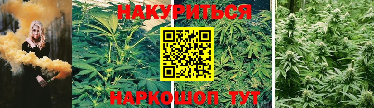Бошки марихуана VHQ Губкин